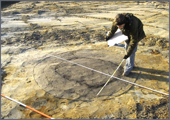 Archeologiecontactdag