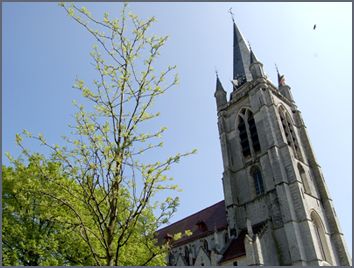 Ronse